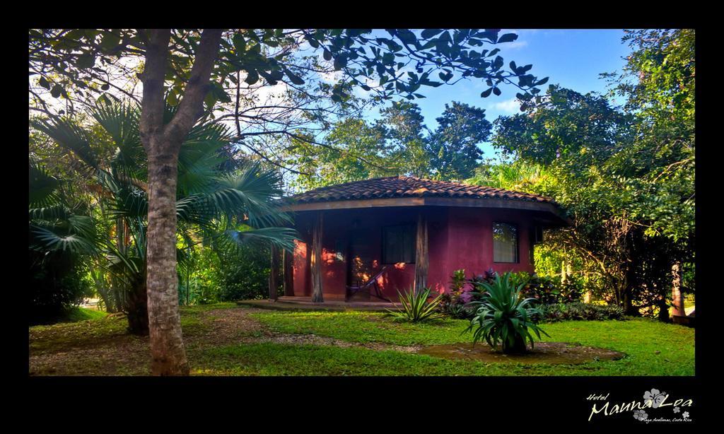 Hotel Mauna Loa Pinilla 部屋 写真