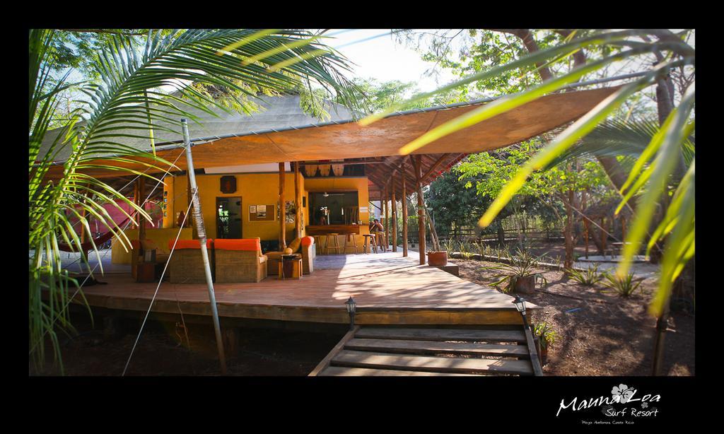 Hotel Mauna Loa Pinilla エクステリア 写真