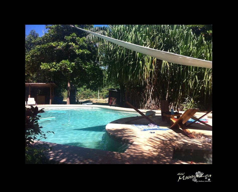 Hotel Mauna Loa Pinilla エクステリア 写真