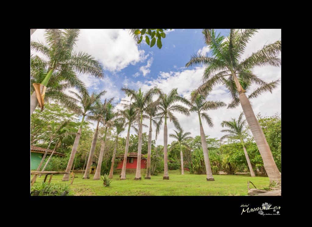 Hotel Mauna Loa Pinilla エクステリア 写真