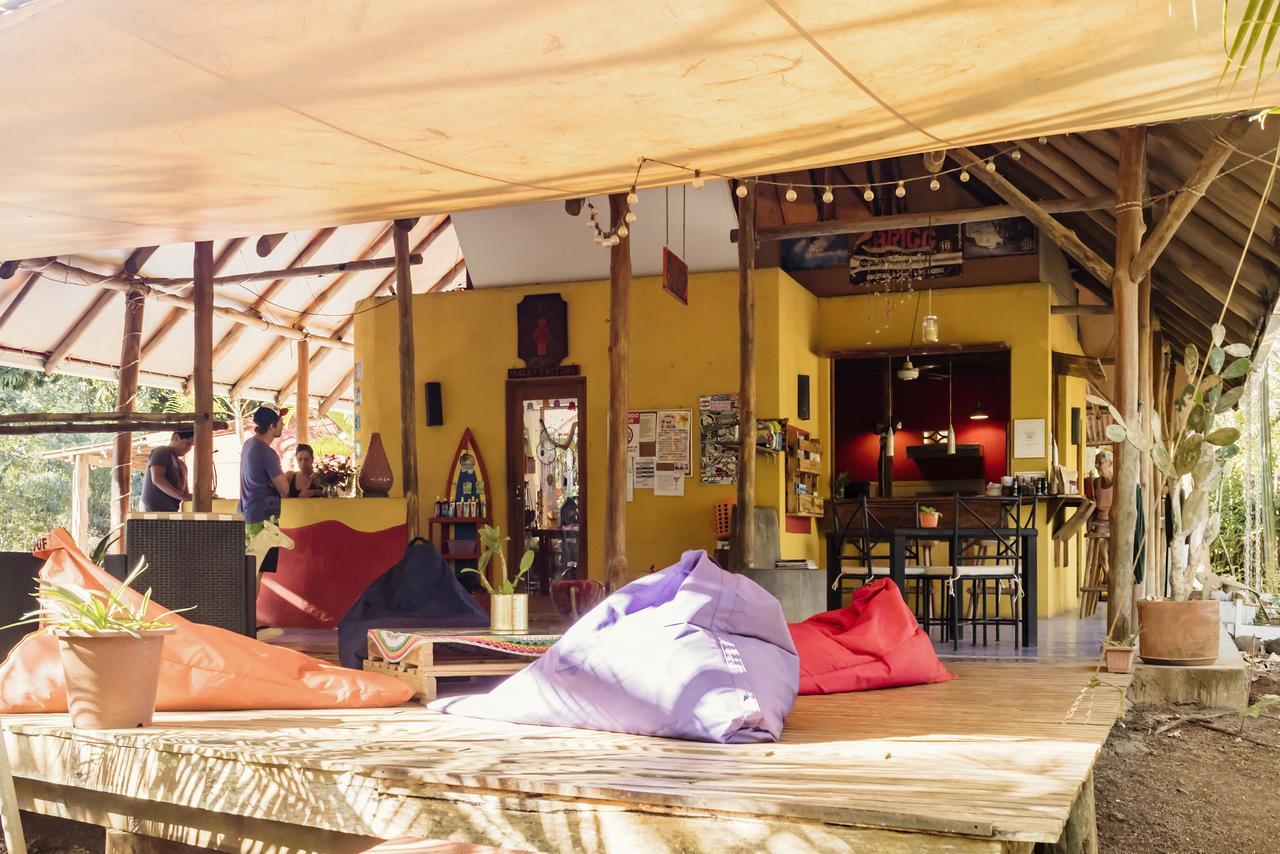 Hotel Mauna Loa Pinilla エクステリア 写真