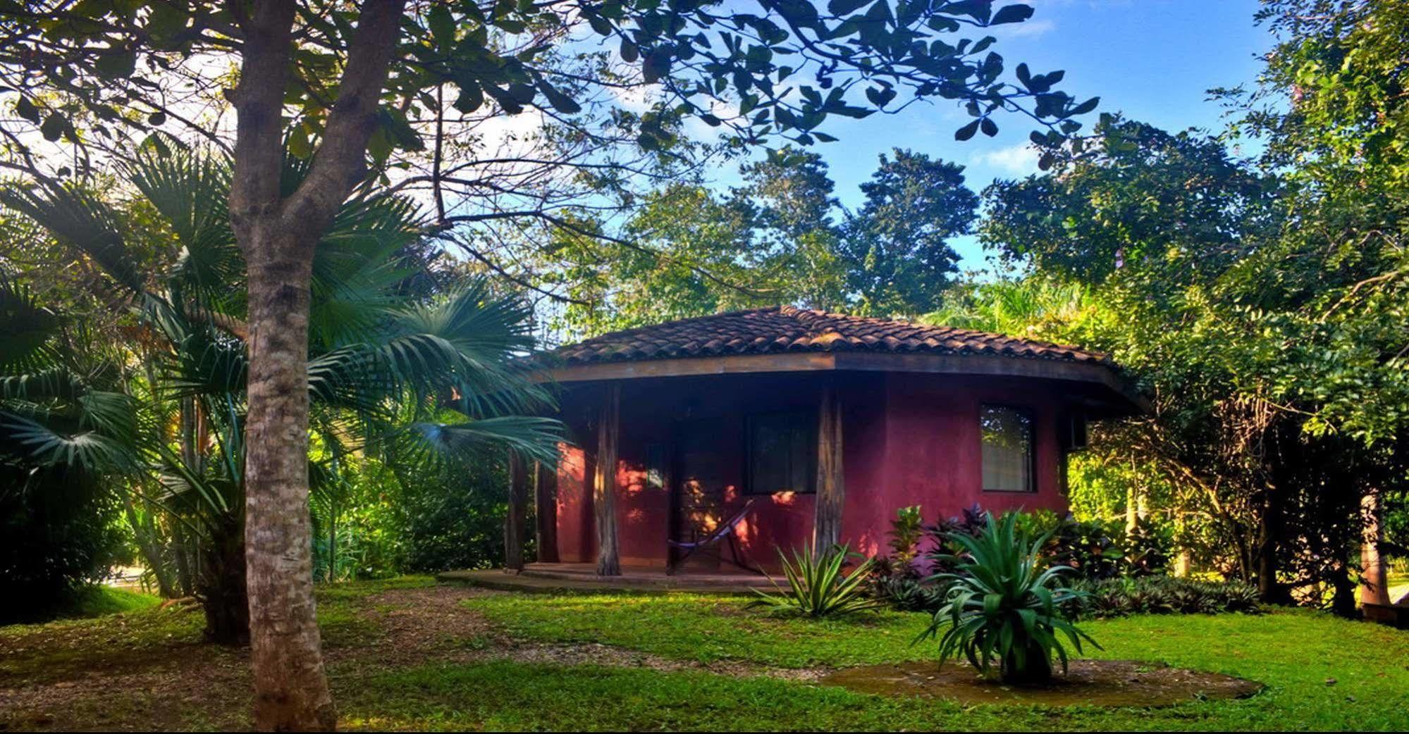 Hotel Mauna Loa Pinilla エクステリア 写真