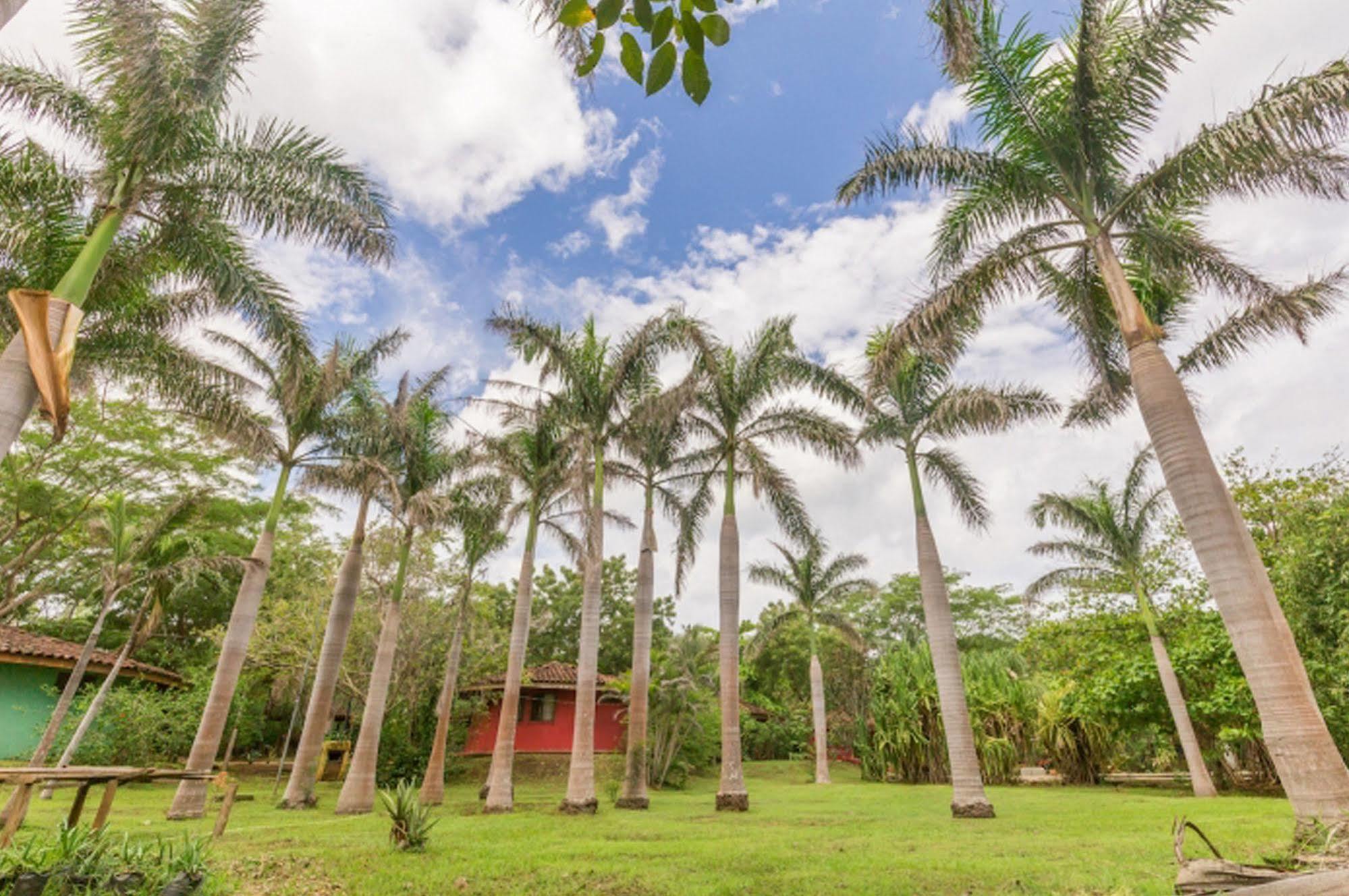 Hotel Mauna Loa Pinilla エクステリア 写真